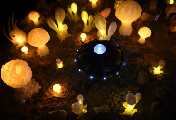 Потомственный шаман из Гобустана - сакральное наследие древней цивилизации (ФОТО)