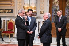 Али Асадов провел ряд встреч в рамках 11-го саммита  D-8 в Каире (ФОТО)