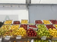 В Баку проходит новогодняя ярмарка "Из села в город" (ФОТО)