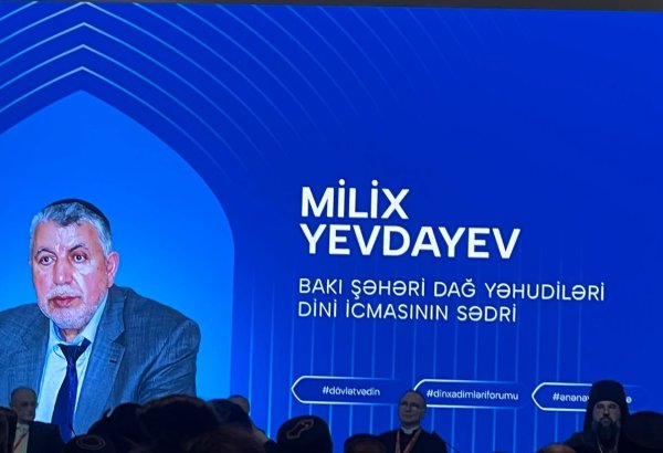 В Азербайджане малочисленные народы живут дружно - Милих Евдаев