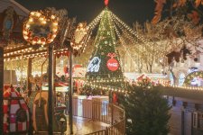 В Баку проходит благотворительная ярмарка Soyuq Əllər, İsti Ürək 2024-2025 (ФОТО)