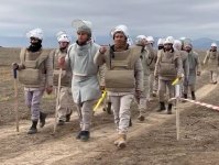 "От мин к виноградникам: Усилия по восстановлению в Азербайджане после войны" – пишет Forbes... (ФОТО)