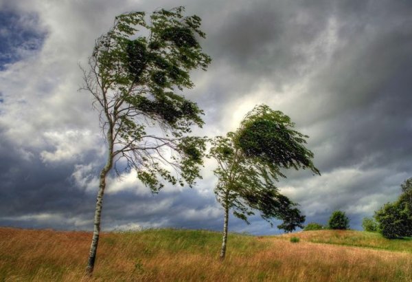 В связи с ветреной погодой объявлены желтое и оранжевое предупреждения