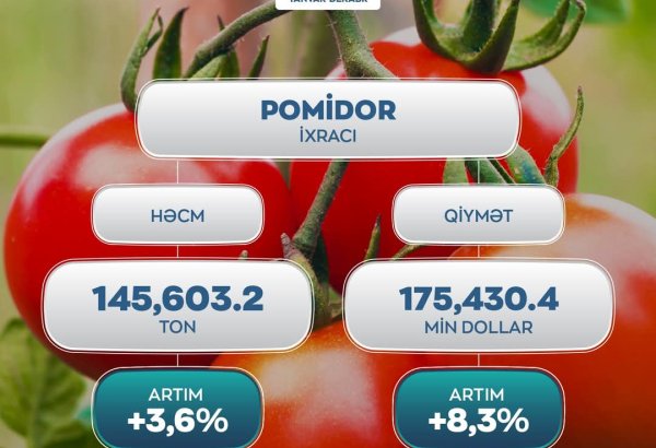 Стали известны доходы Азербайджана от экспорта помидоров