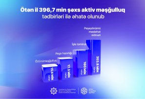 Названо число лиц в Азербайджане, охваченных активными мерами занятости в 2024 году