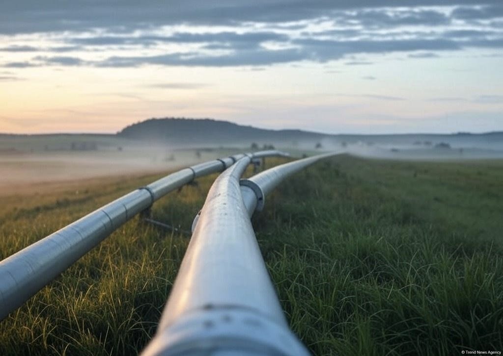 Выросли доходы Азербайджана от продажи газа в Сербию