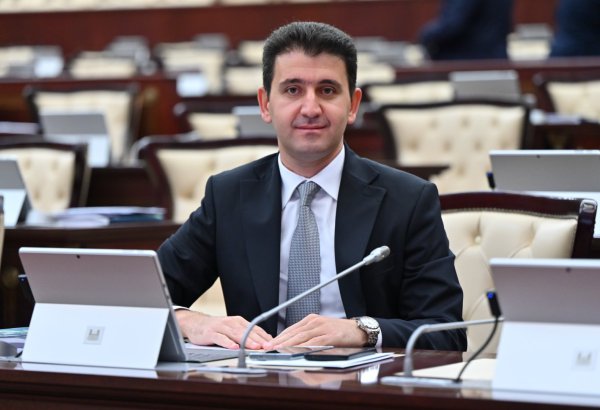 Должны быть проведены комплексные слушания по обращению с бездомными животными - депутат Милли Меджлиса