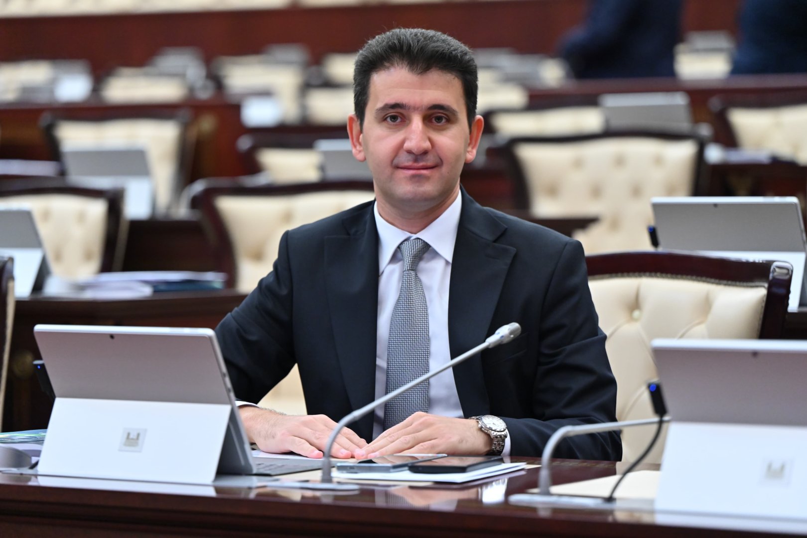 Должны быть проведены комплексные слушания по обращению с бездомными животными - депутат Милли Меджлиса