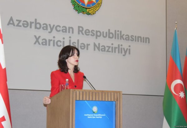 Грузия является сторонницей мира в регионе - Мака Бочоришвили