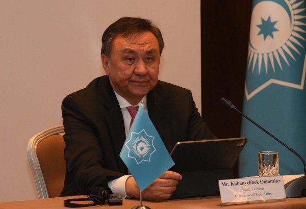 Тюркский мир должен совместно добиваться своих целей - генсек ОТГ