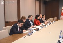 Главы МИД Азербайджана и Грузии обсудили ряд вопросов в Баку (ФОТО)