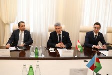 Число азербайджанских студентов, получающих медицинское образование в Венгрии, может увеличиться (ФОТО)