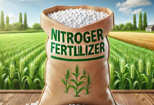 Названа стоимость азербайджанского импорта удобрений за январь