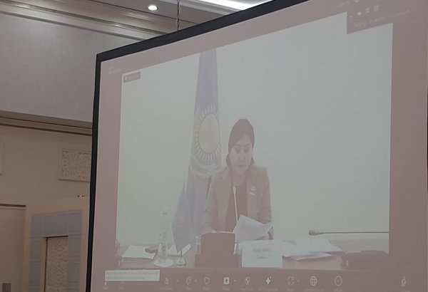 Изменение климата влияет на экосистему и создает условия для возникновения различных заболеваний - Гульдара Нуримова