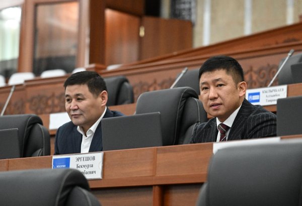 В Кыргызстане приняли законопроект о статусе цифрового сома в первом чтении