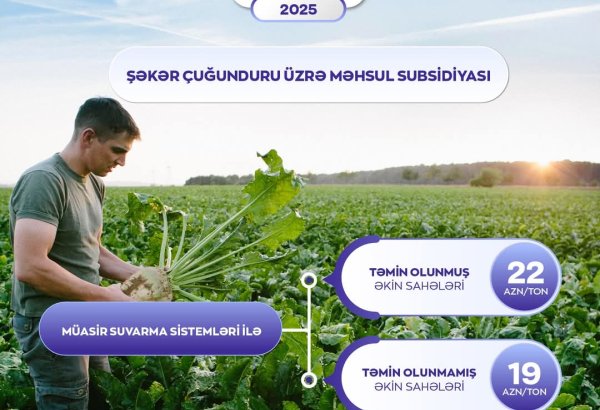 Увеличен размер субсидии на производство сахарной свеклы в Азербайджане