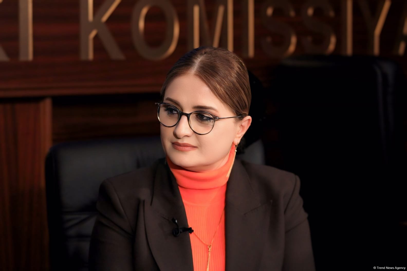 В Азербайджане анулированы результаты муниципальных выборов на пяти избирательных участках Имишли