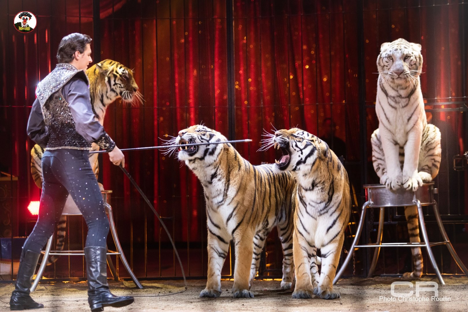 Впервые в Баку будет представлено грандиозное цирковое шоу из Италии (ФОТО)