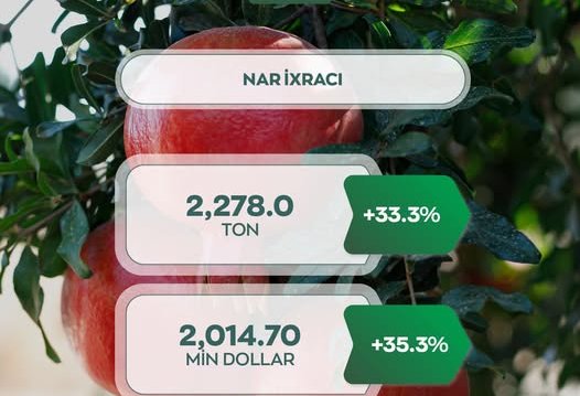 Назван объем экспорта граната из Азербайджана в январе 2025 года