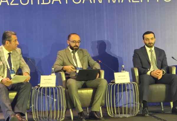 Обнародована статистика по страхованию автотранспортных средств в Азербайджане