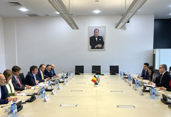 Азербайджан и Бельгия обсудили укрепление инвестиционного партнерства