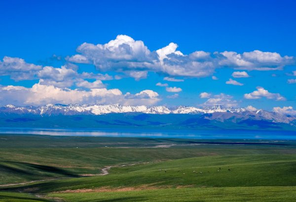 Экологическая повестка Центральной Азии в ритме глобальной перезагрузки