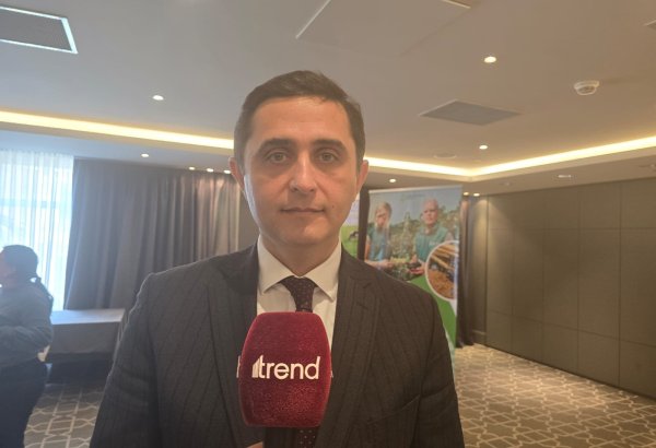 В Азербайджане будут застрахованы пчеловодческие хозяйства