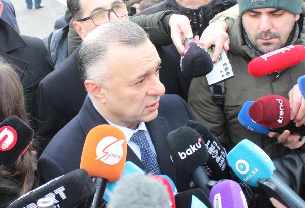 В Азербайджане будет опубликован официальный список врачей, имеющих право заниматься пластической хирургией - министр