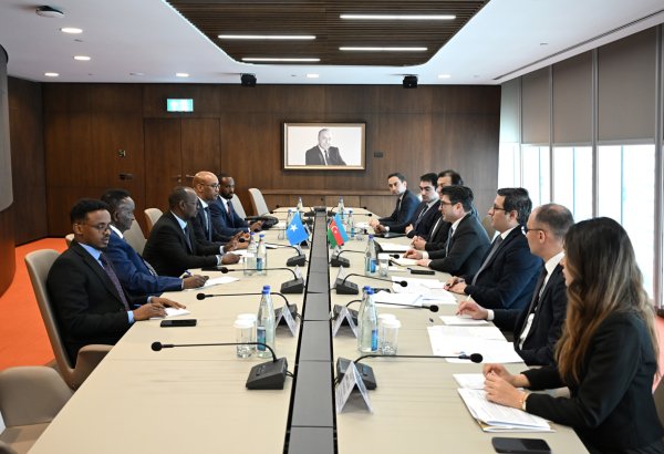 Азербайджан и Сомали оценили возможности потенциального партнерства в энергетике