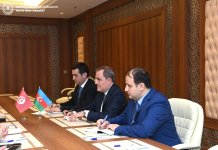 Азербайджан и Тунис обсудили перспективы многостороннего сотрудничества (ФОТО)