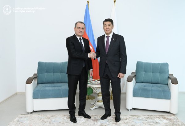 Обсуждены возможности расширения сотрудничества между Азербайджаном и IOFS (ФОТО)