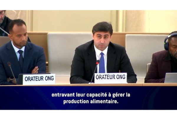 Аббас Аббасов рассказал в ООН о влиянии колониальной политики на продовольственную безопасность коренного населения (ВИДЕО)