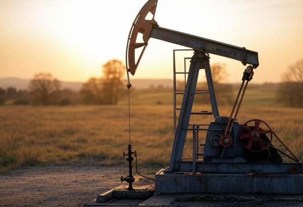 Ненефтяной экспорт Ирана в Азербайджан сократился