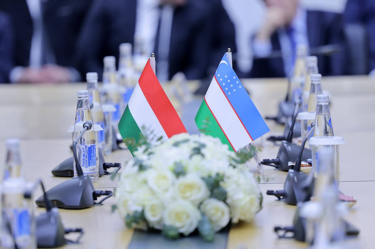 Узбекистан и Венгрия обсудили перспективы сотрудничества в сфере телекоммуникаций