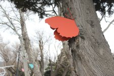 В Баку отмечают праздник Новруз (ФОТО)