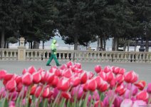 В Баку отмечают праздник Новруз (ФОТО)