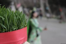 В Баку отмечают праздник Новруз (ФОТО)