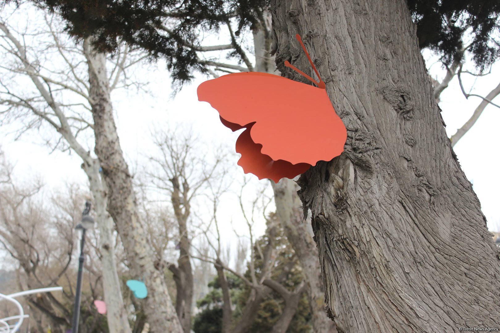 В Баку отмечают праздник Новруз (ФОТО)