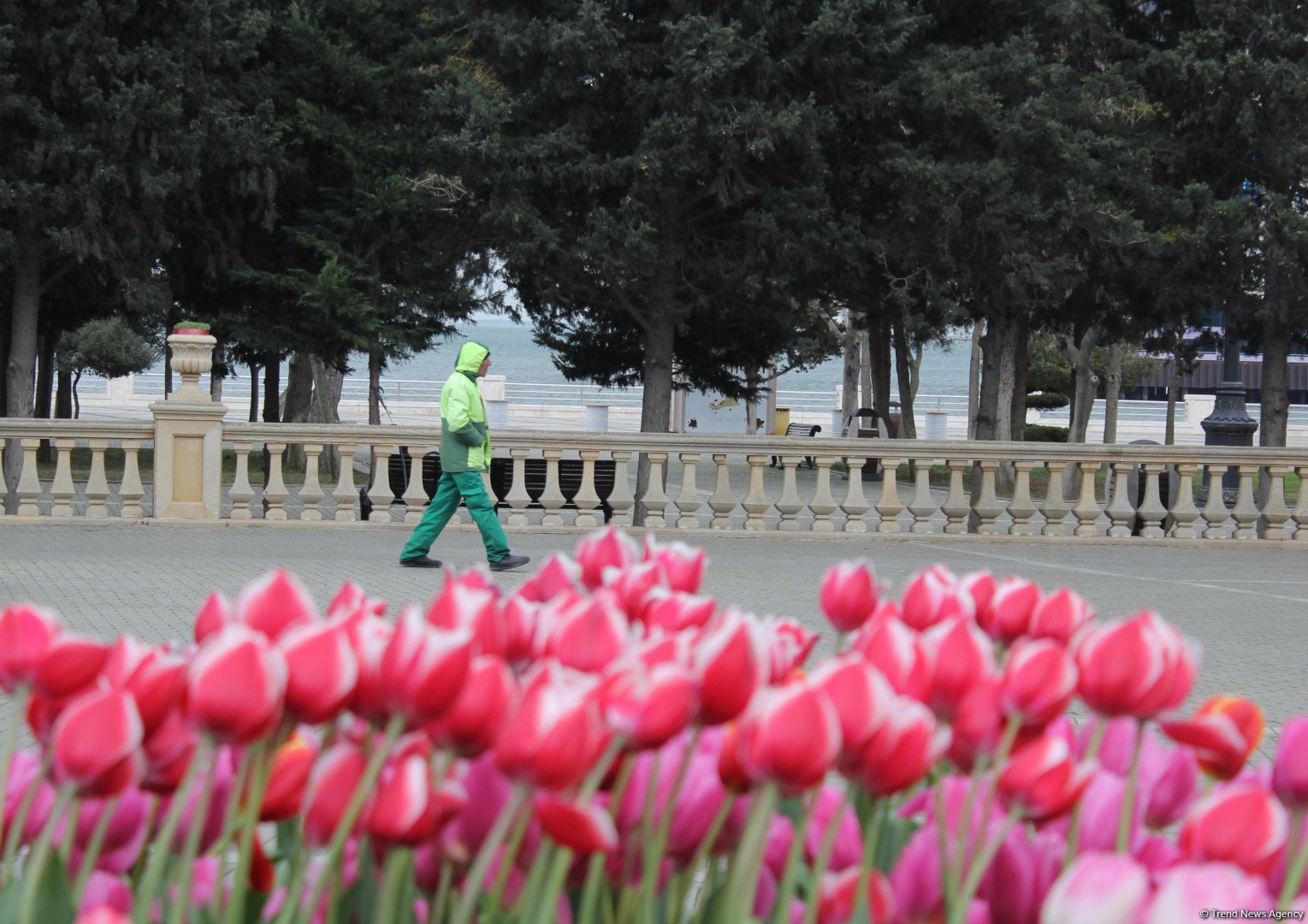 В Баку отмечают праздник Новруз (ФОТО)