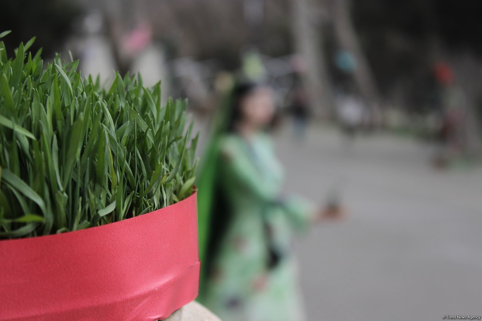 В Баку отмечают праздник Новруз (ФОТО)