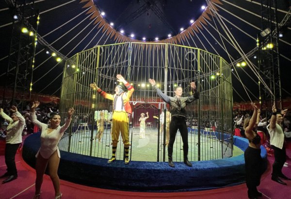 Отличный отдых для всей семьи в Баку - выступает самая титулованная цирковая династия Европы (ФОТО)