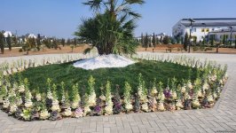 Ясли-детский сад в селе Сарыджалы Агдамского района расчитан на 100 мест (ФОТО)