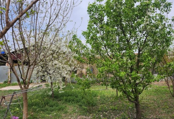 Фоторепортаж из восстановленного села Джоджуг Марджанлы