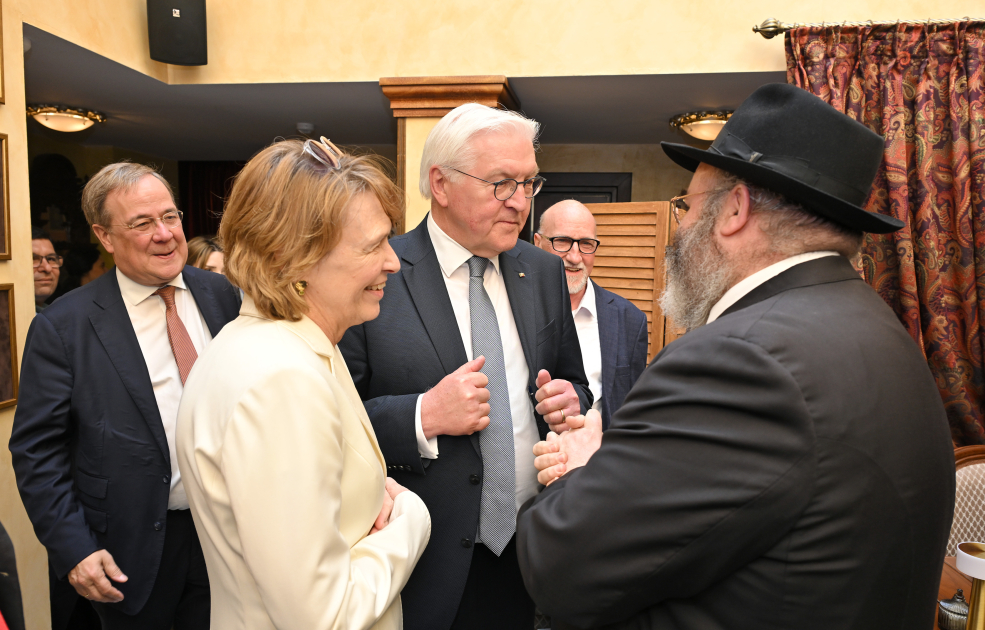 Президент Германии Франк-Вальтер Штайнмайер ознакомился с Ичеришехер (ФОТО)