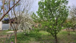 Фоторепортаж из восстановленного села Джоджуг Марджанлы