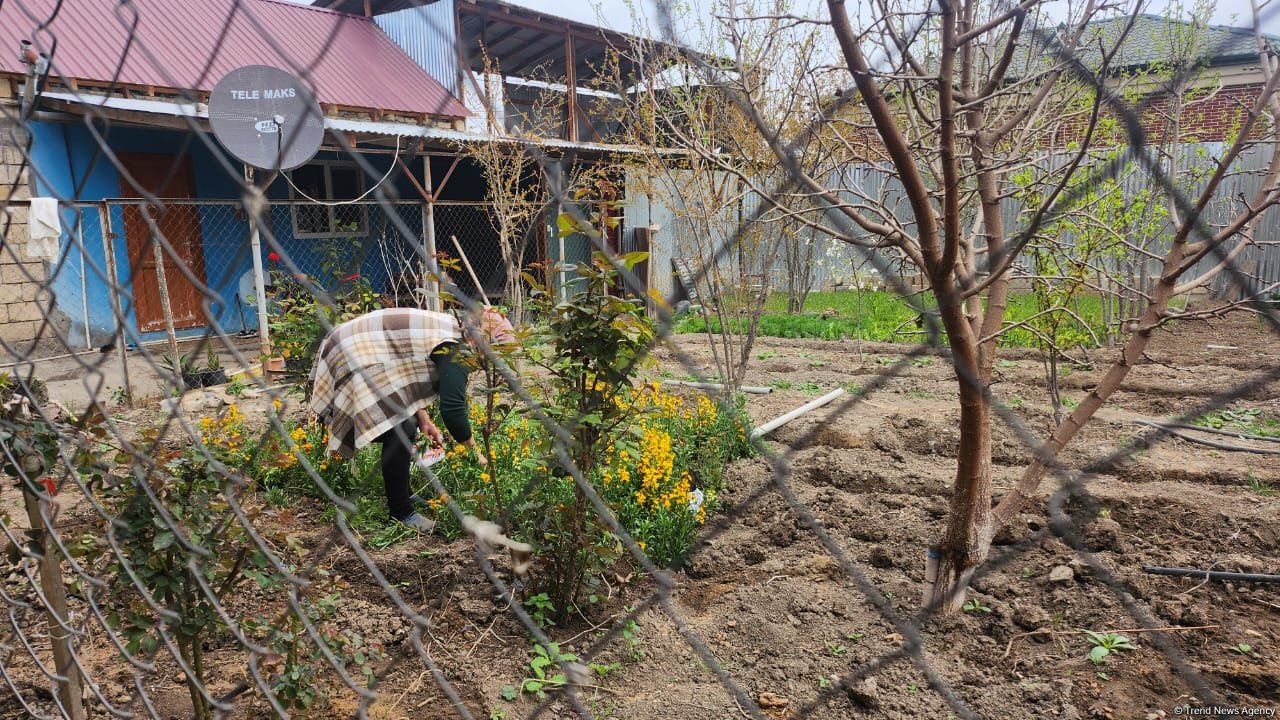 Фоторепортаж из восстановленного села Джоджуг Марджанлы