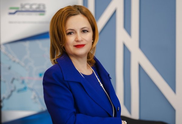 Инвестиции в IGB требуют более чётких механизмов поддержки со стороны ЕС — исполнительный директор