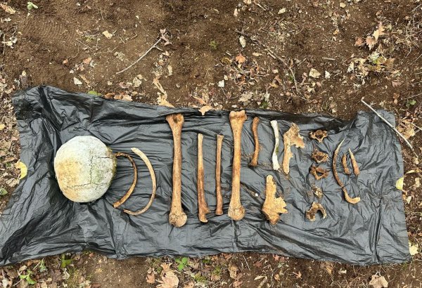 Начато расследование в связи с обнаружением человеческих останков в Агдере (ФОТО)