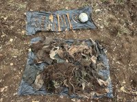 Начато расследование в связи с обнаружением человеческих останков в Агдере (ФОТО)