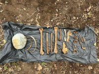 Начато расследование в связи с обнаружением человеческих останков в Агдере (ФОТО)